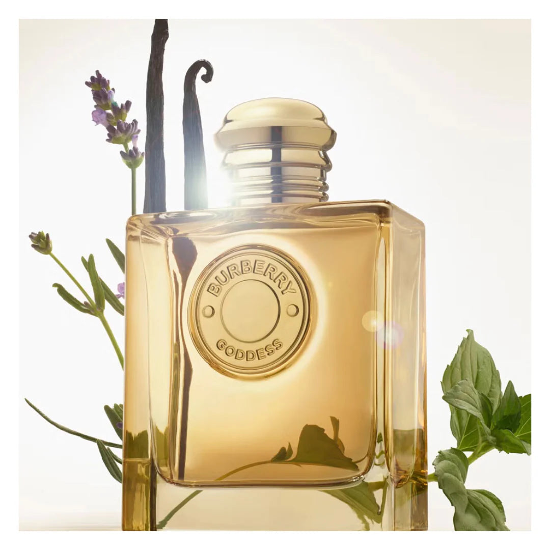 Golden Aura – 100ml