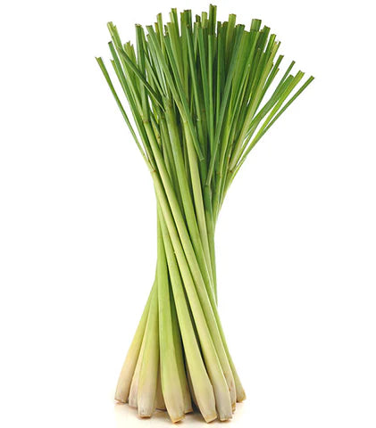 Lemongrass
